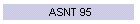 ASNT 95