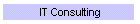 IT Consulting